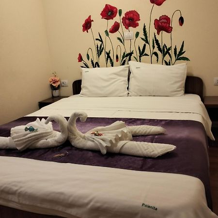 Vila Poienita Caciulata Călimăneşti Eksteriør bilde