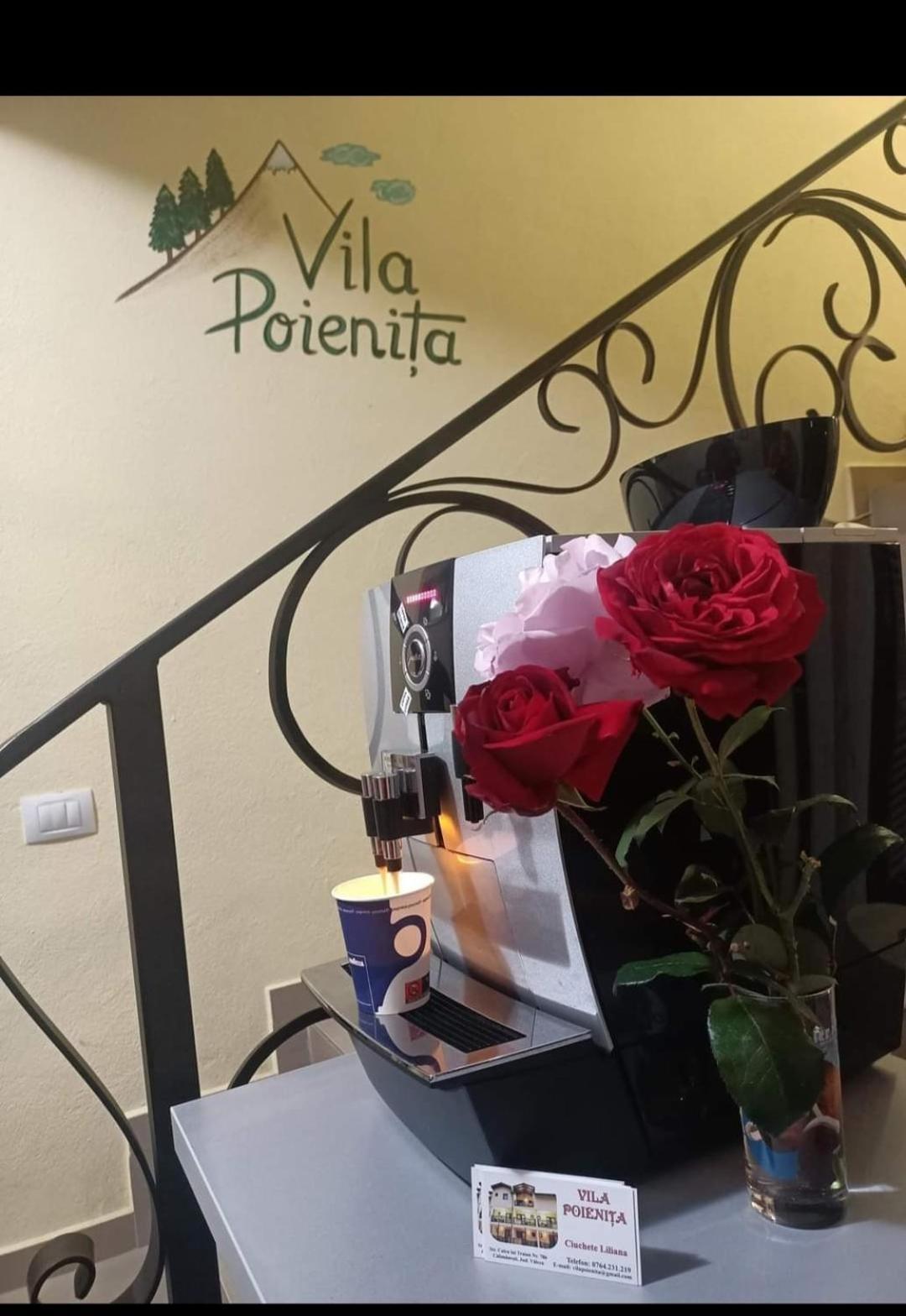 Vila Poienita Caciulata Călimăneşti Eksteriør bilde