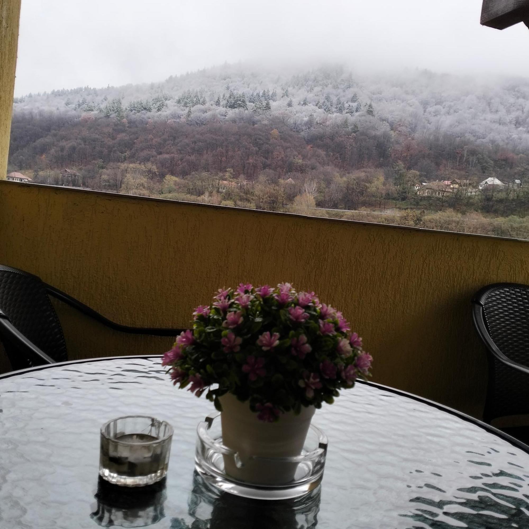 Vila Poienita Caciulata Călimăneşti Eksteriør bilde